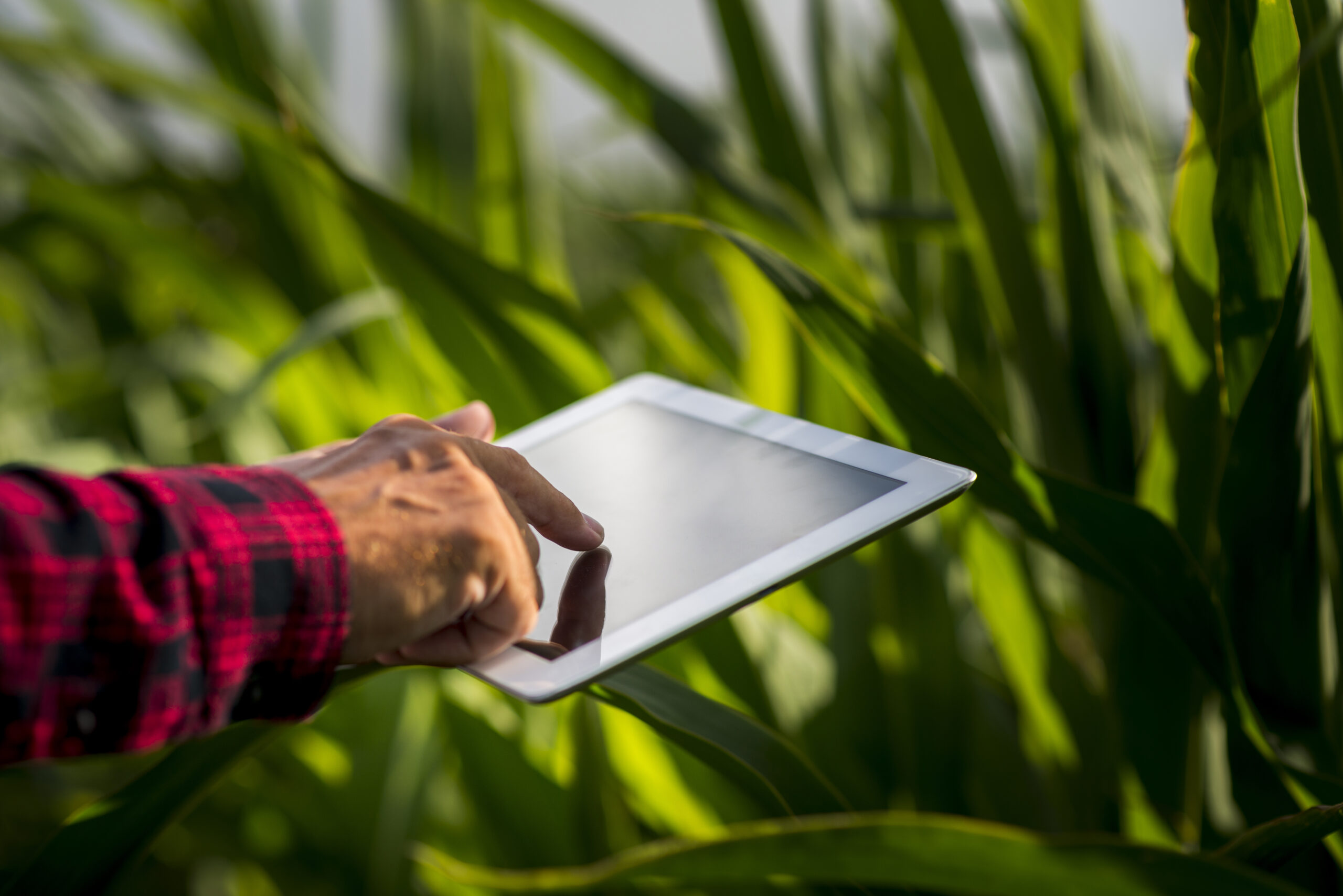 Tecnologia para o Agro
